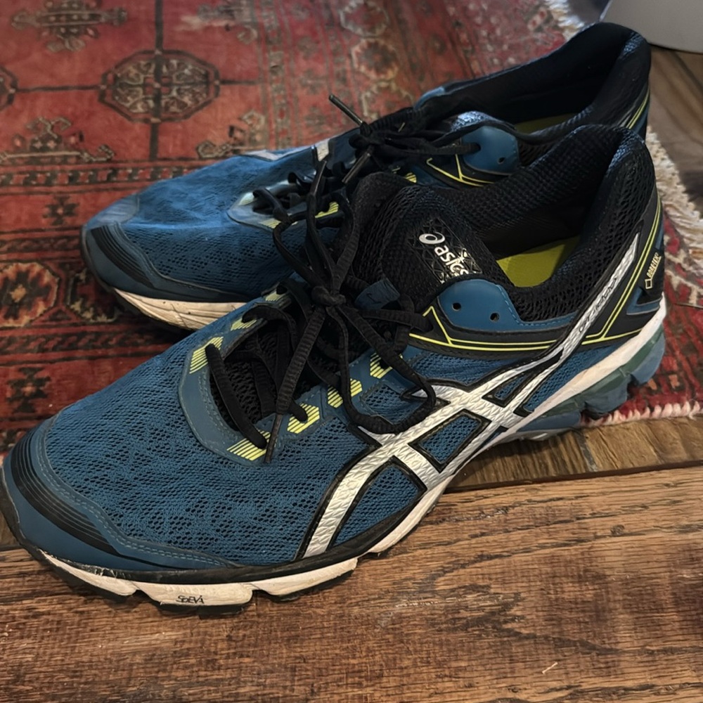 ASICS GT-1000 Gore-Tex Men US 13 used